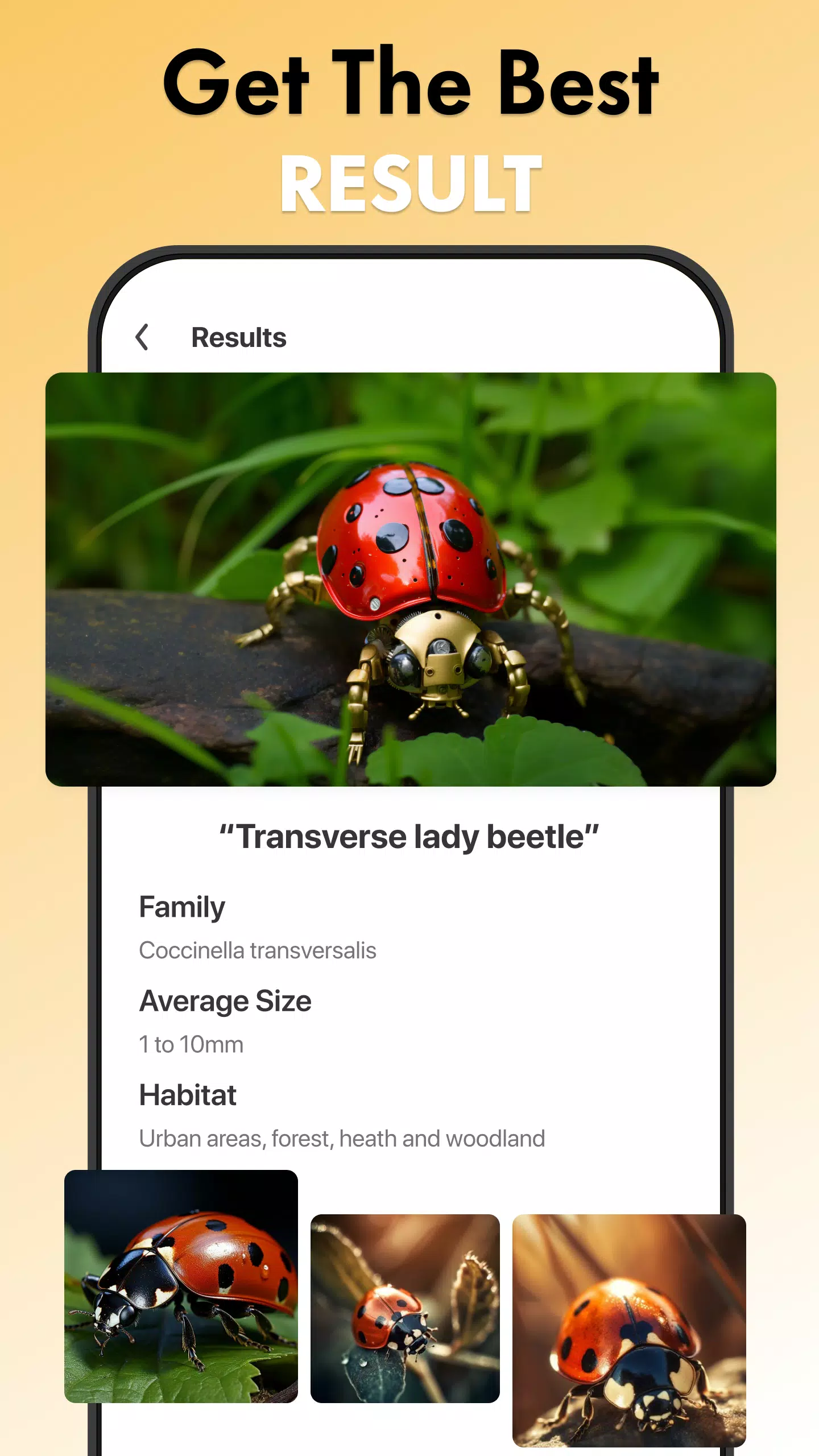 Insect Identifier Bug Identify应用截图第3张