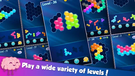 Block! Hexa Puzzle™ Screenshot 4