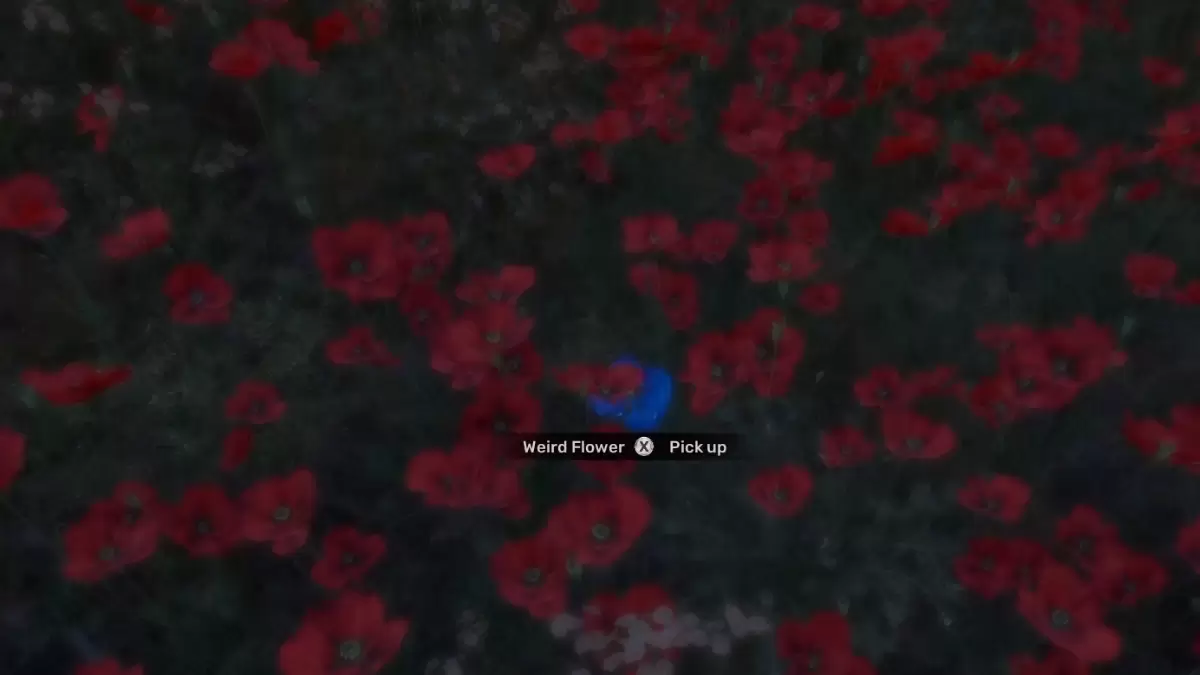 What Does the Weird Flower Do in Stalker 2?