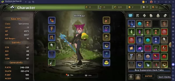 Dragon Nest Rebirth equipment interface