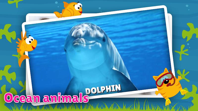 Animal flashcard & sounds Screenshot 3