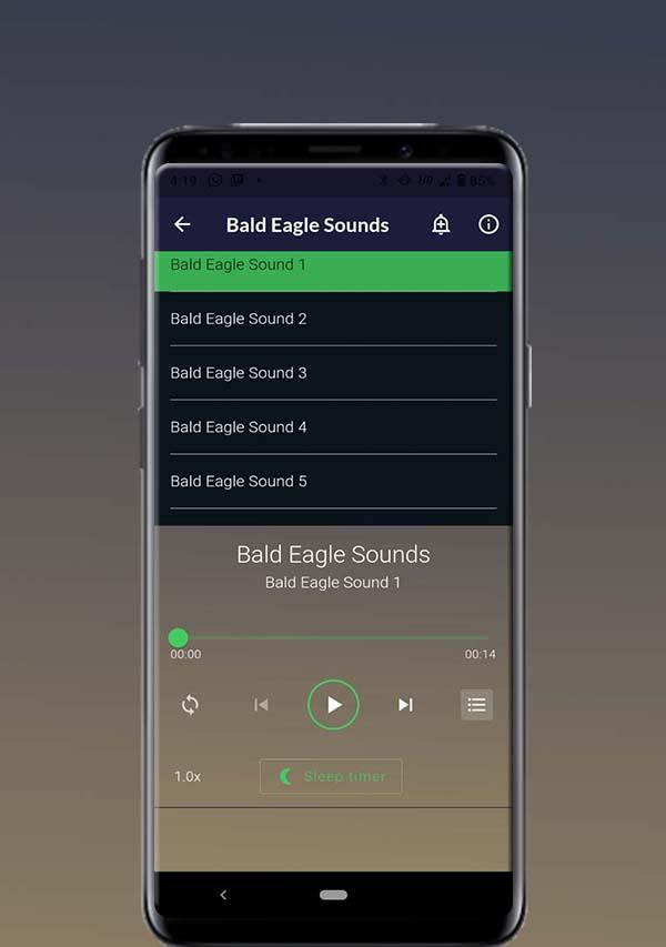 Bald Eagle Sounds 스크린샷 1