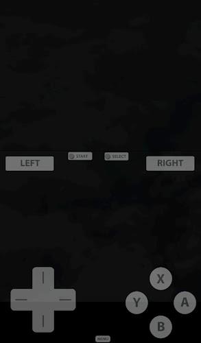 Fast DS Emulator - For Android Screenshot 2