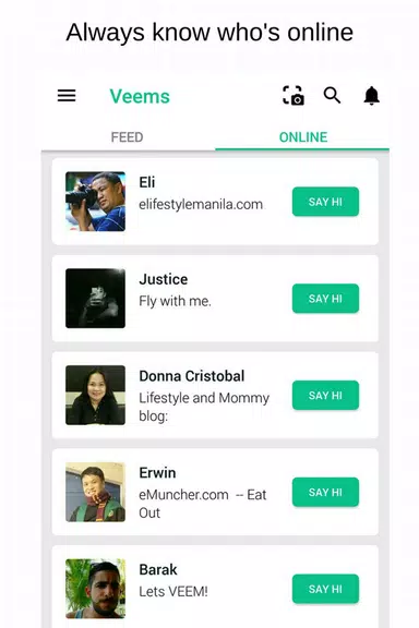Veems Screenshot 4